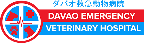 Home - Davao Emergency Veterinary Hospital